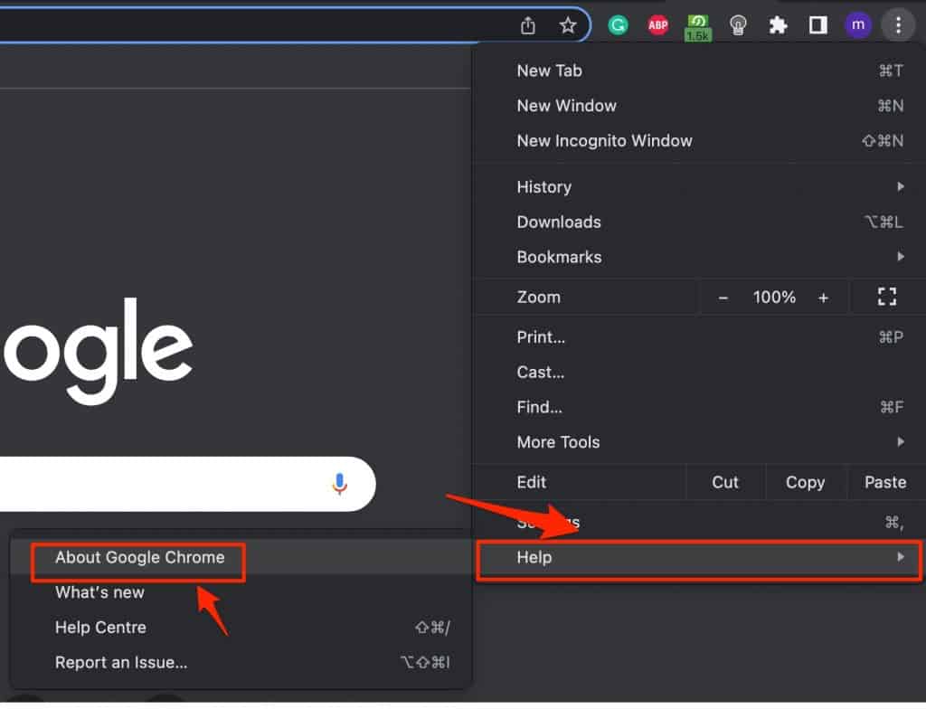 upgrade google chrome
