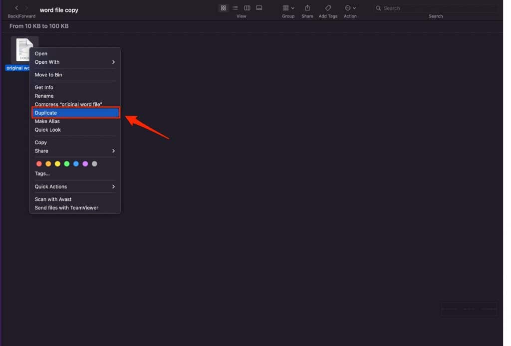 make word document duplicate mac