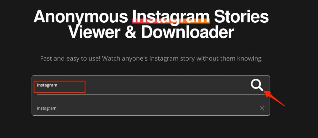 search instagram profile