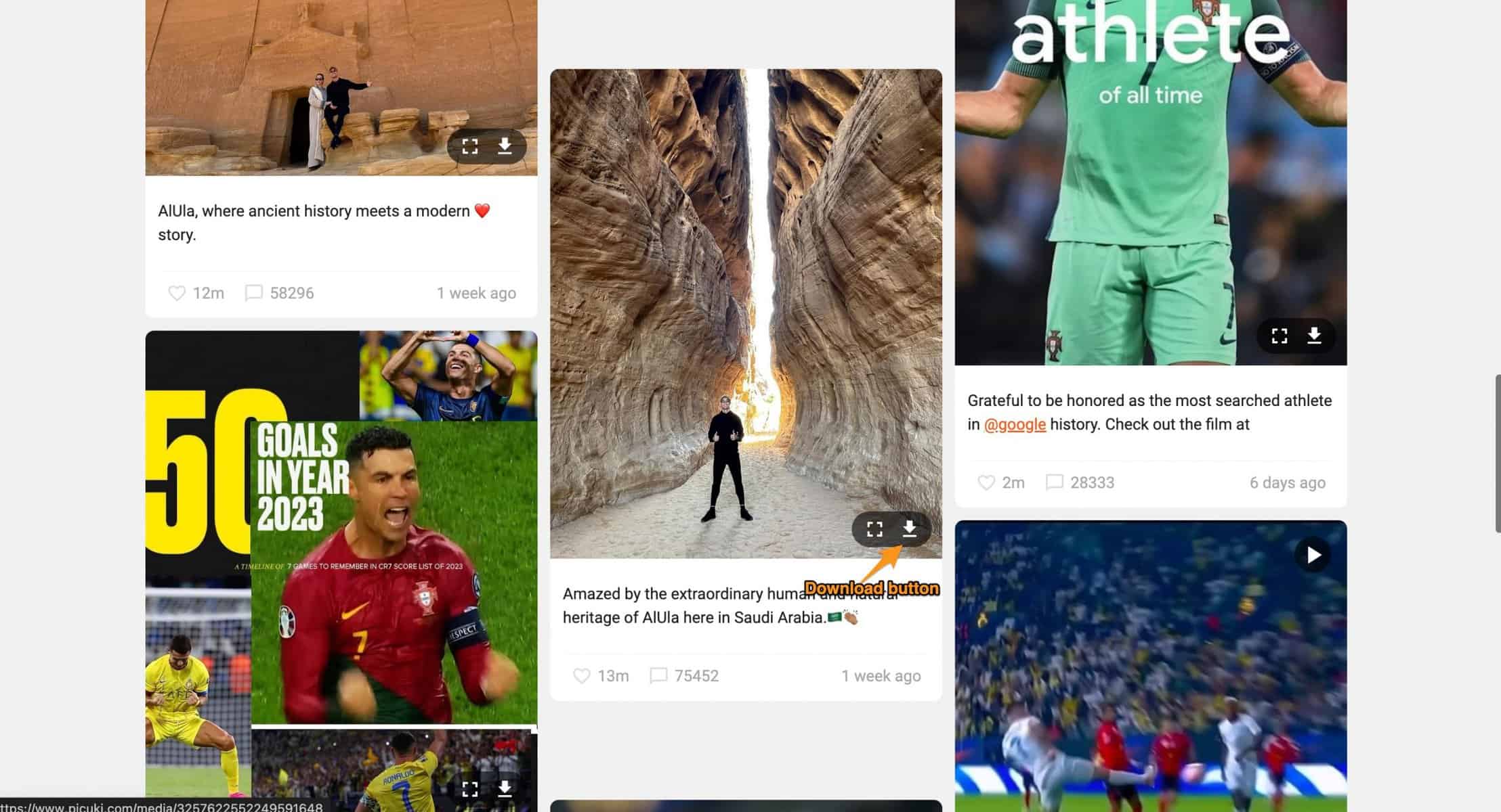 download instagram photo video button picuki