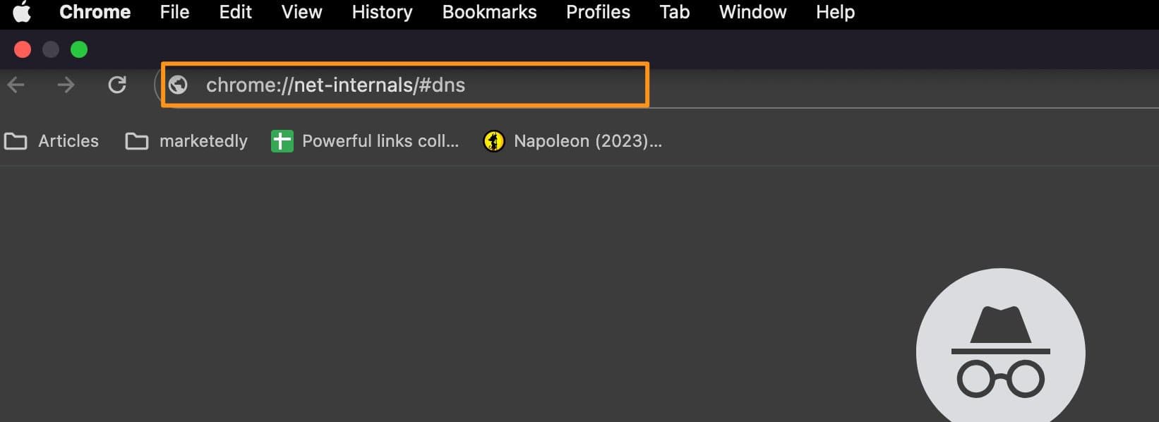 chrome net internals