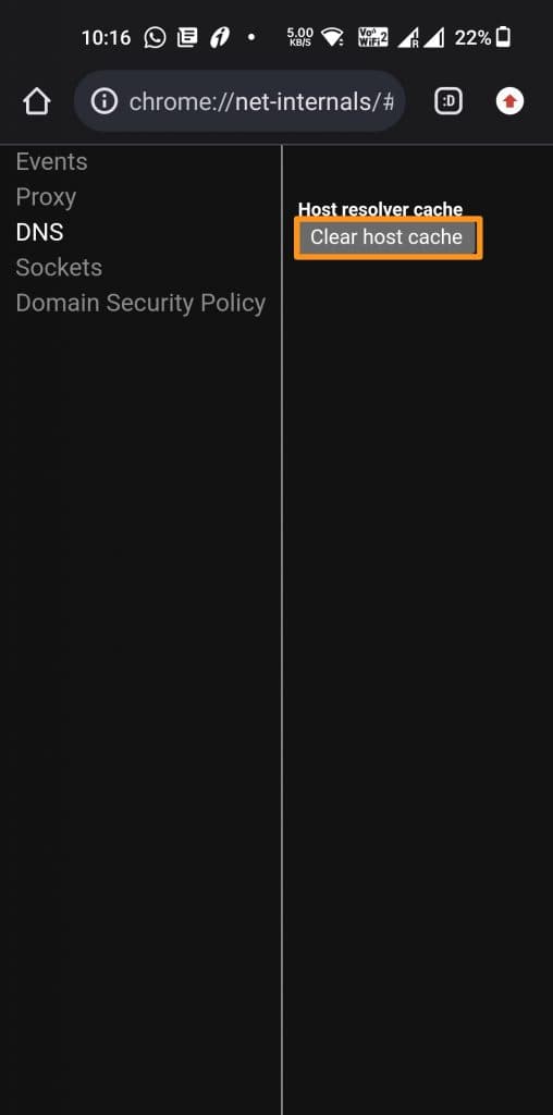 net-internals dns mobile