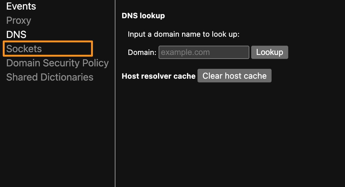 net internals sockets