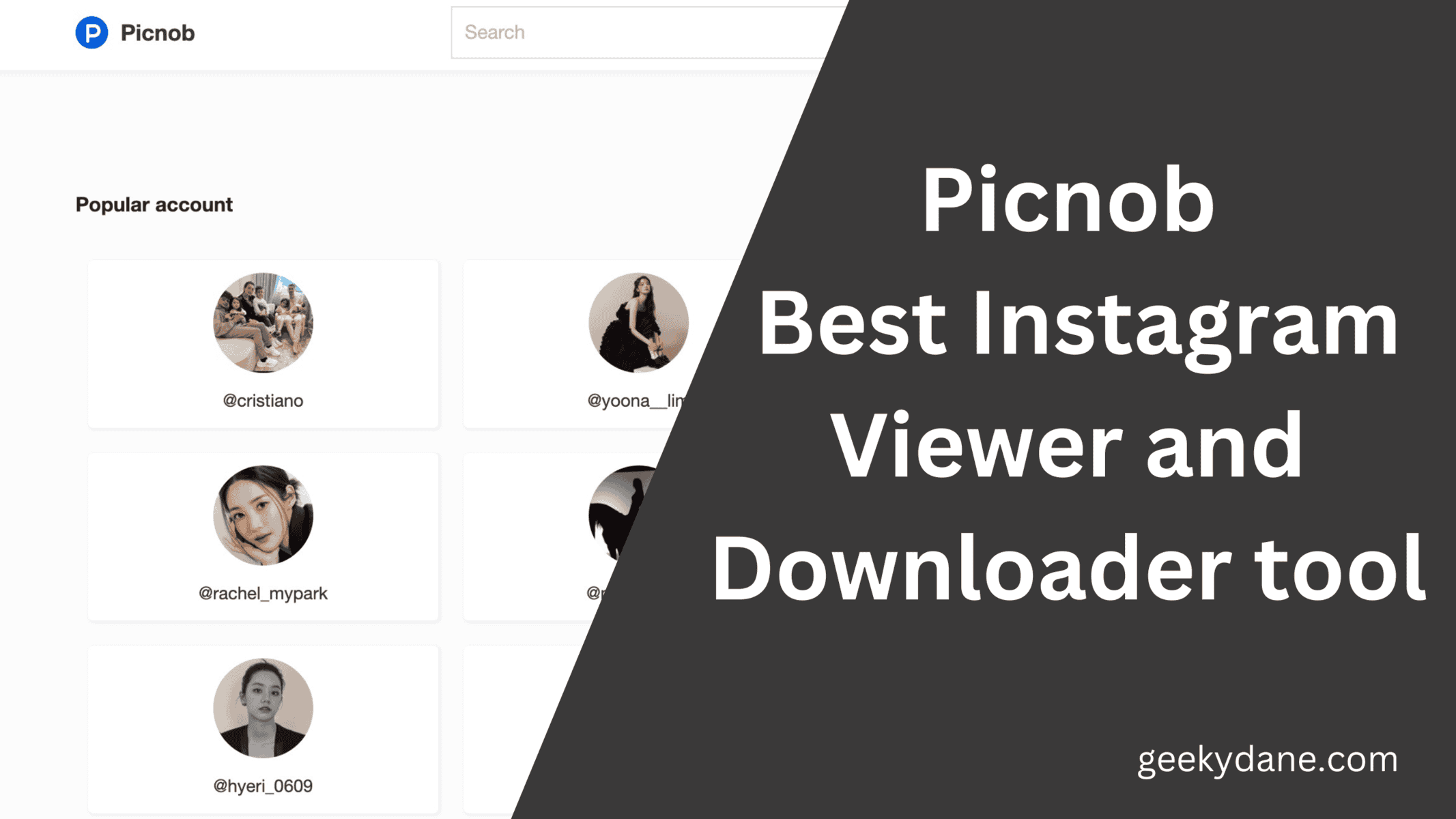 Picnob Review – Best Instagram Viewer and Downloader tool